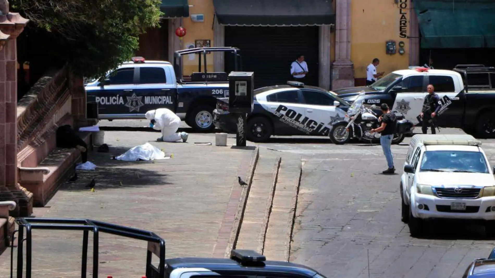 Perito en zona de ataque armado en Jardín de Independencia Zacatecas